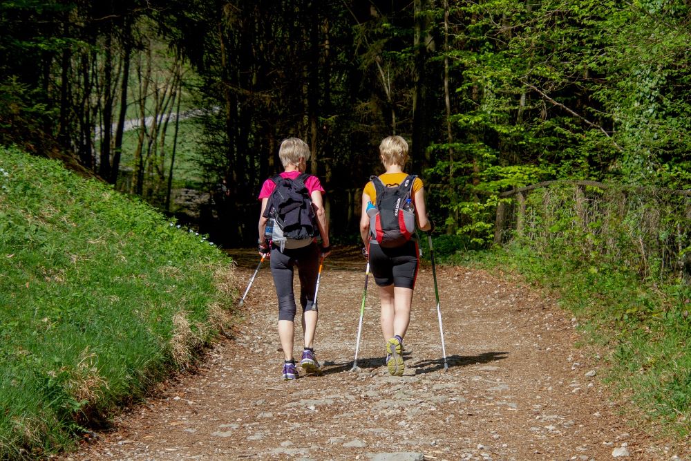 Nordic Walking - Oipes Organizzazione Italiana Professionisti educazione e  sport